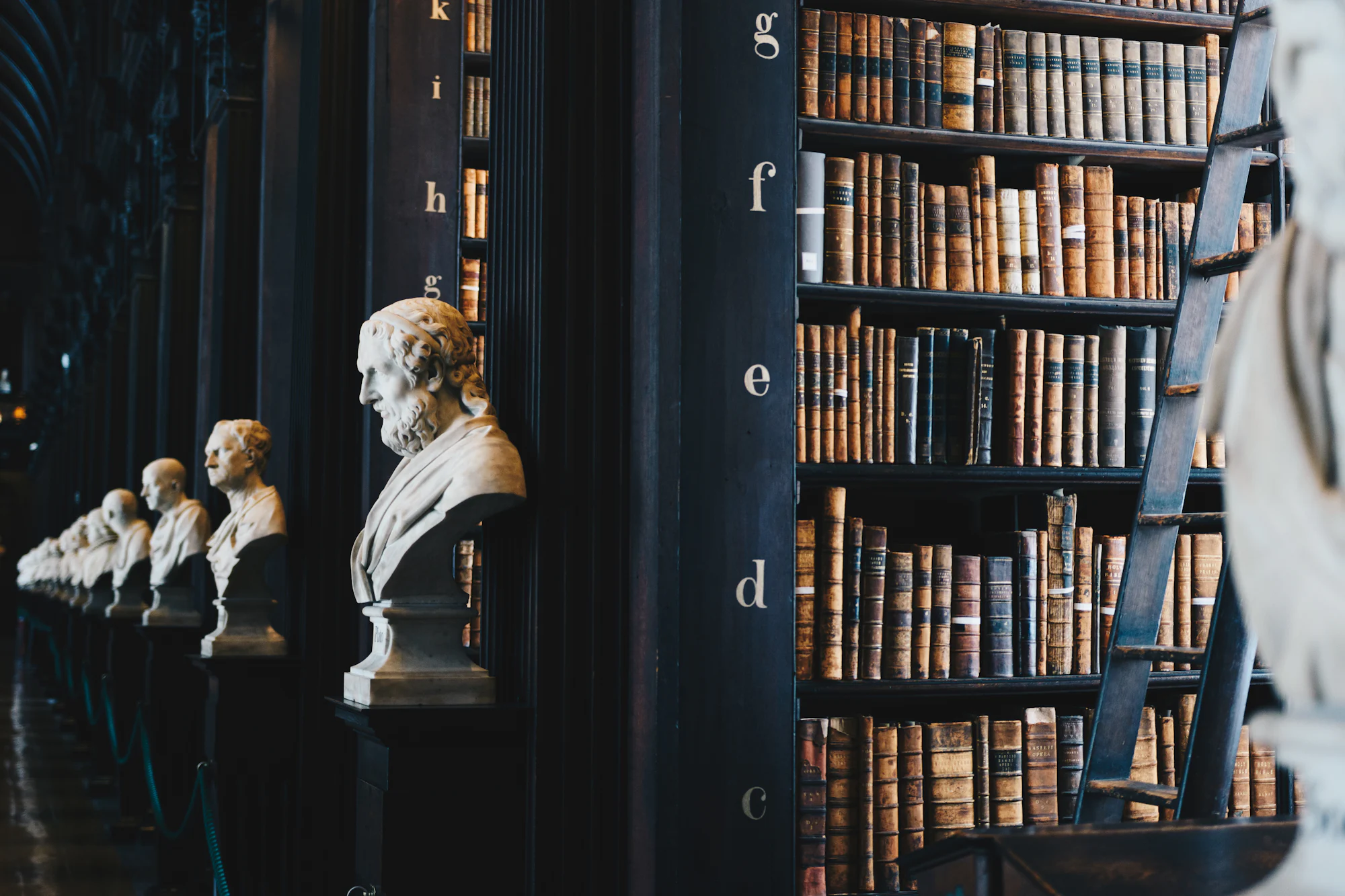 Marble busts and leather-bound volumes lining a historic library